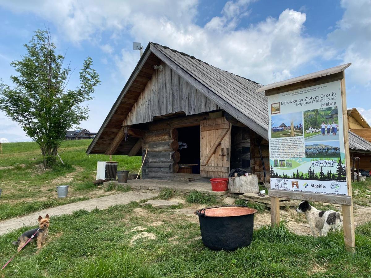 Zloty Gron Log Houses & Apartments Istebna Eksteriør bilde